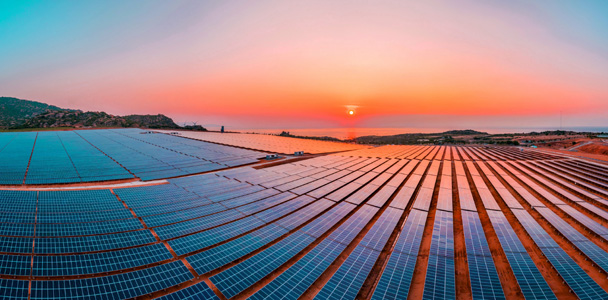 Top view of solar pannel farm during sunset